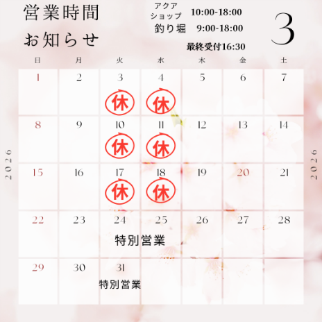 shop＠fishland_marumiya