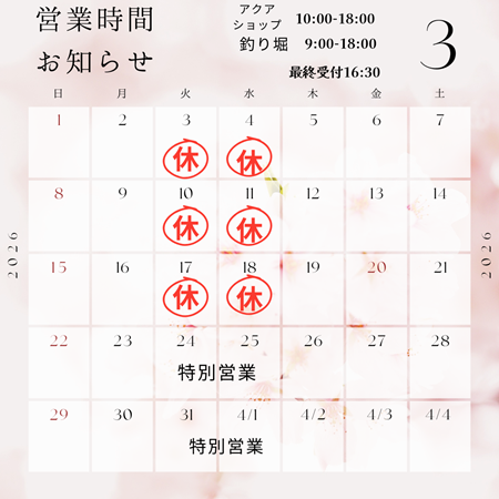 shop＠fishland_marumiya