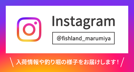 Instagram ＠fishland_marumiya