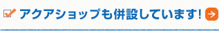 アクアショップも併設しています!