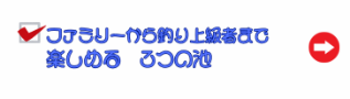ファミリーから釣り上級者まで楽しめる3つの釣り池があります！