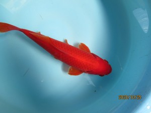 k0120